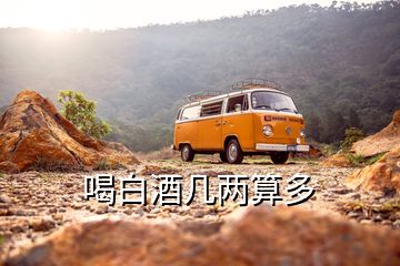 喝白酒几两算多