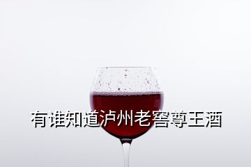 有谁知道泸州老窖尊王酒