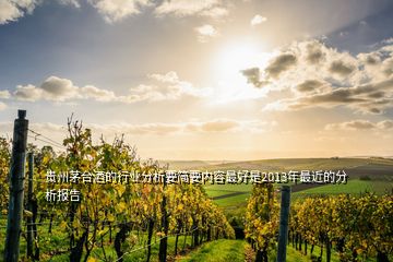 贵州茅台酒的行业分析要简要内容最好是2013年最近的分析报告