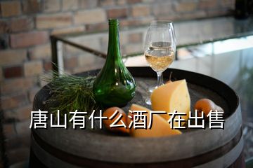 唐山有什么酒厂在出售