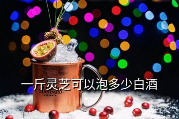 一斤灵芝可以泡多少白酒