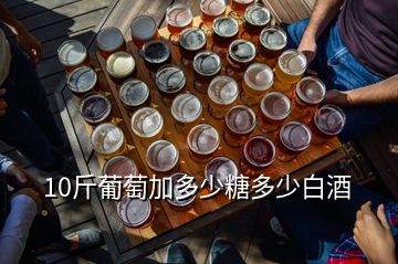 10斤葡萄加多少糖多少白酒