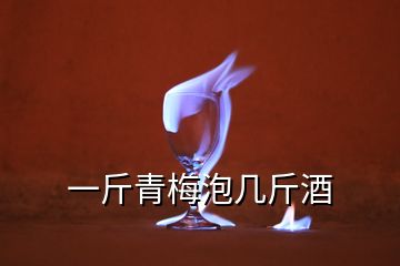 一斤青梅泡几斤酒