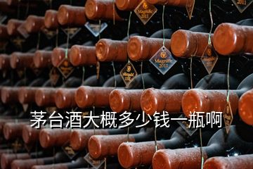 茅台酒大概多少钱一瓶啊