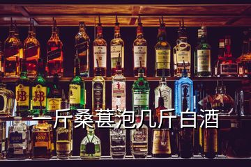 一斤桑葚泡几斤白酒