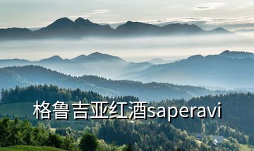 格鲁吉亚红酒saperavi