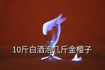 10斤白酒泡几斤金樱子