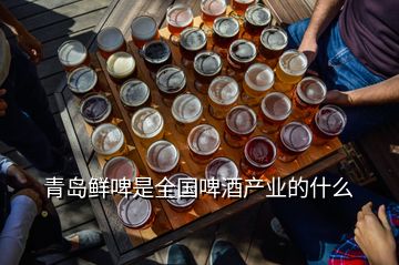 青岛鲜啤是全国啤酒产业的什么