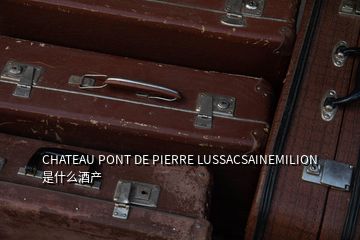 CHATEAU PONT DE PIERRE LUSSACSAINEMILION 是什么酒产