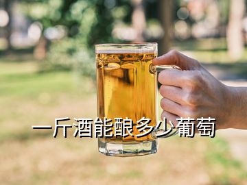 一斤酒能酿多少葡萄