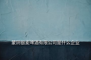 蒙阴银麦啤酒有限公司是什么企业