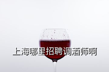 上海哪里招聘调酒师啊