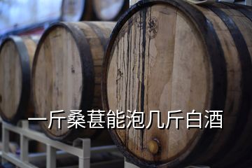 一斤桑葚能泡几斤白酒