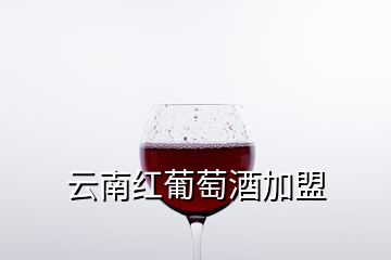云南红葡萄酒加盟
