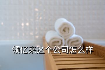 领亿来这个公司怎么样