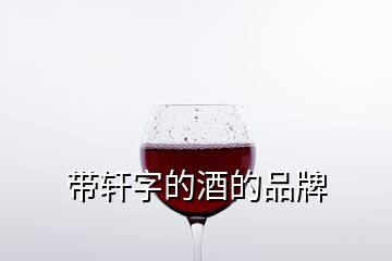 带轩字的酒的品牌