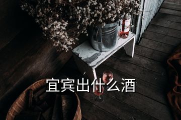 宜宾出什么酒