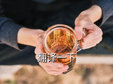 翻译一下