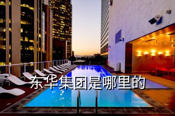 东华集团是哪里的