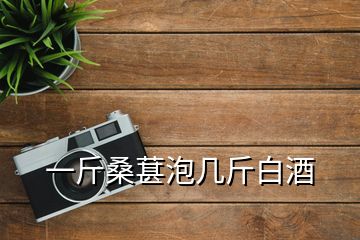 一斤桑葚泡几斤白酒