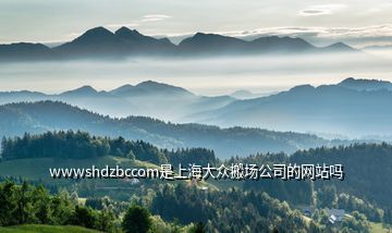 wwwshdzbccom是上海大众搬场公司的网站吗