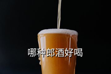 哪种郎酒好喝