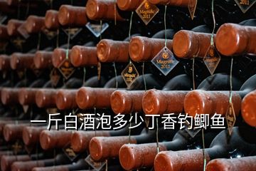 一斤白酒泡多少丁香钓鲫鱼