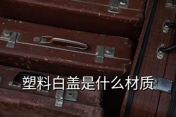 塑料白盖是什么材质