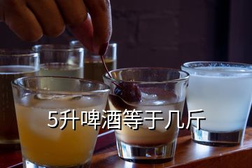 5升啤酒等于几斤