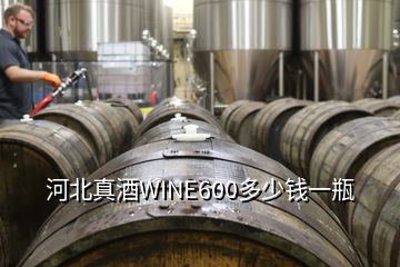 河北真酒WINE600多少钱一瓶