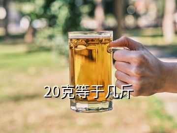 20克等于几斤