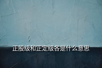 正股级和正定级各是什么意思