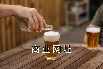 商 业 网 址