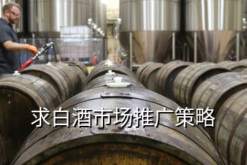 求白酒市场推广策略