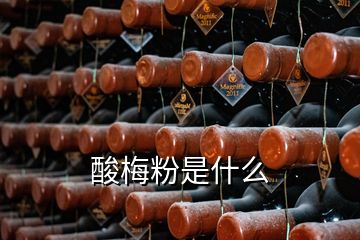 酸梅粉是什么