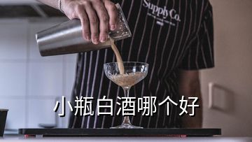 小瓶白酒哪个好