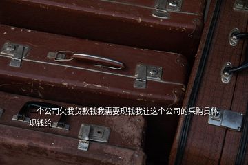 一个公司欠我货款钱我需要现钱我让这个公司的采购员体现钱给