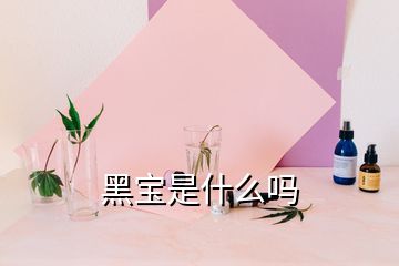 黑宝是什么吗