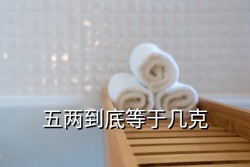 五两到底等于几克