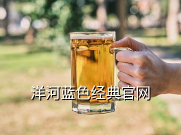 洋河蓝色经典官网