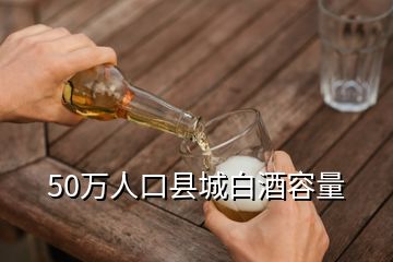 50万人口县城白酒容量