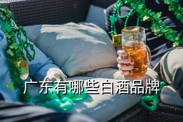 广东有哪些白酒品牌