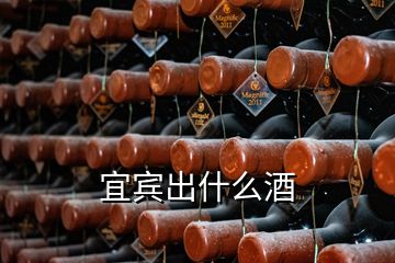 宜宾出什么酒