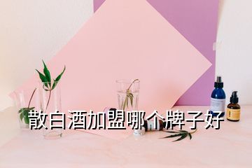 散白酒加盟哪个牌子好