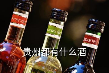 贵州都有什么酒