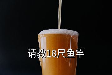 请教18尺鱼竿