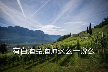 有白酒品酒师这么一说么