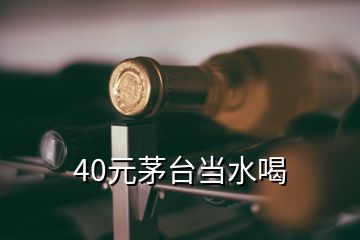 40元茅台当水喝