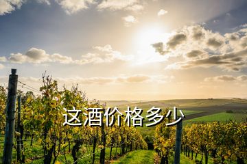 这酒价格多少