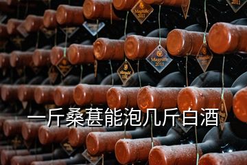 一斤桑葚能泡几斤白酒